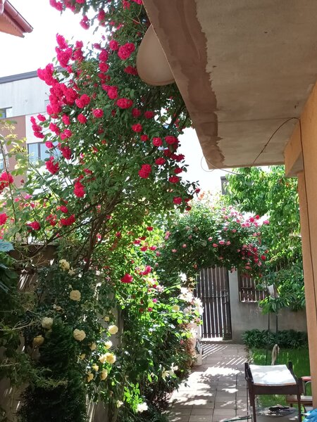 Toamnei nr. 52, Bucuresti.